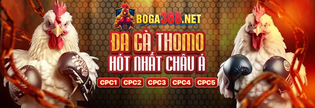 Đá Gà Trực Tuyến Hấp Dẫn tại 32win nổ hũ